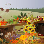 Прикмети осені | Oznaki jesieni 