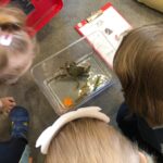 Zajęcia w przedszkolu na Bielanach | Spotkanie z krabem