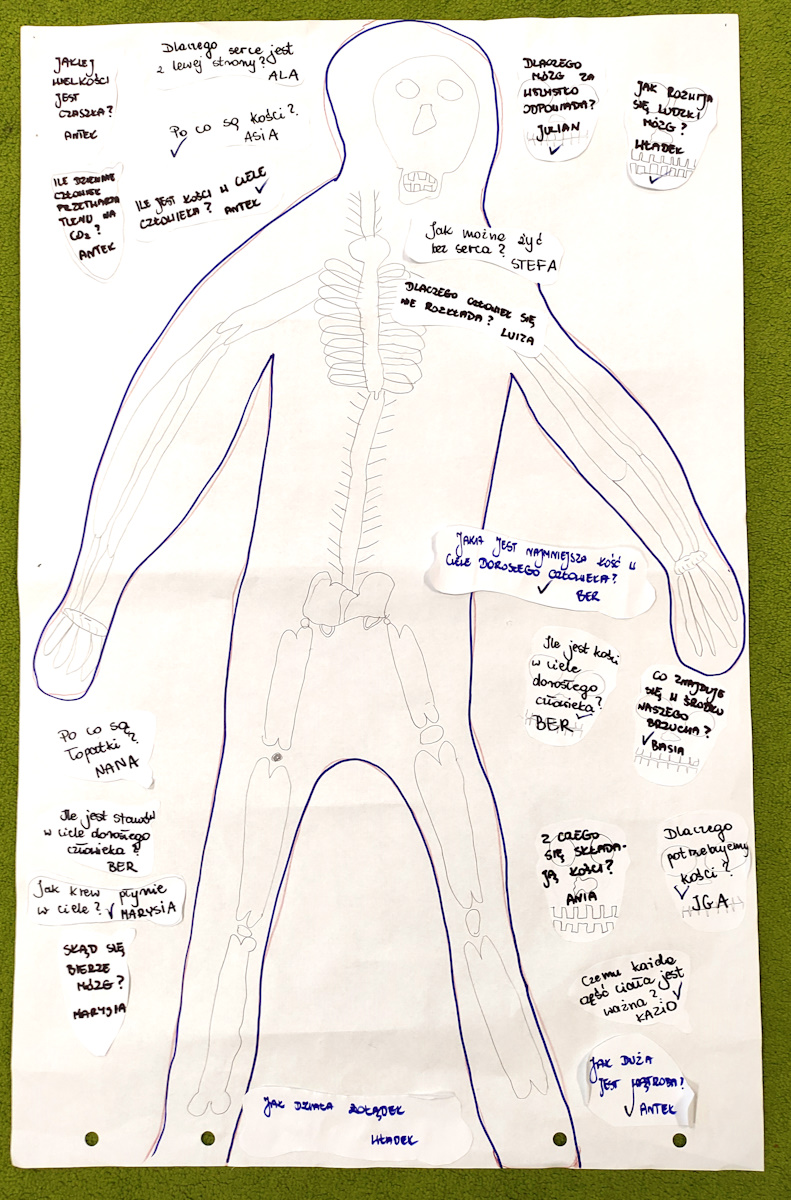 Plansza z zapytajkami - pytaniami dzieci do tematu Ciało Człowieka. Narysowana jest postać człowieka z zaznaczonym układem kostnym i chmurkami z pytaniami